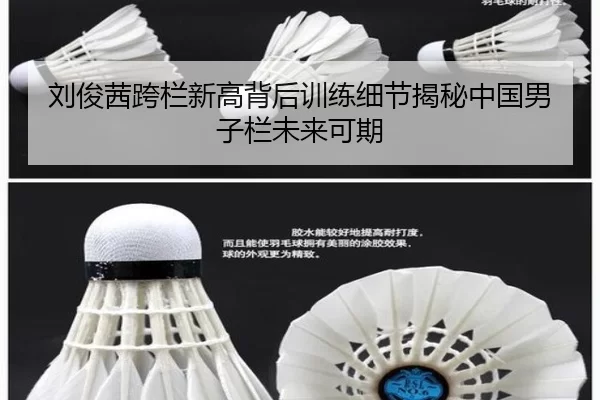 刘俊茜跨栏新高背后训练细节揭秘中国男子栏未来可期